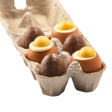 Boite à Oeufs coquille