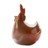 Coq